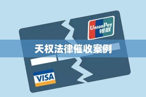 天权法律催收案例