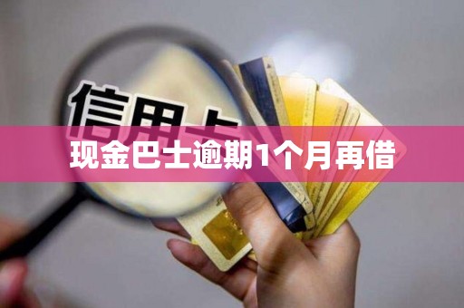 现金巴士逾期1个月再借