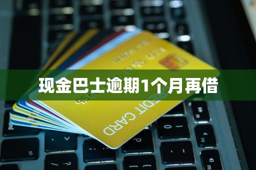 现金巴士逾期1个月再借