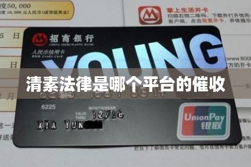 清素法律是哪个平台的催收