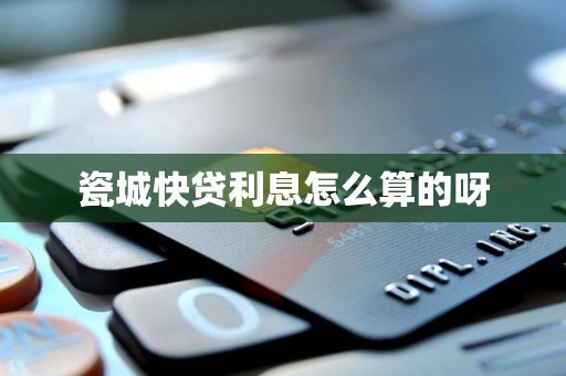 瓷城快贷利息怎么算的呀