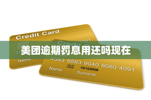 美团逾期罚息用还吗现在