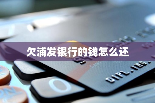 欠浦发银行的钱怎么还