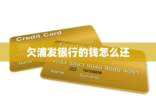 欠浦发银行的钱怎么还