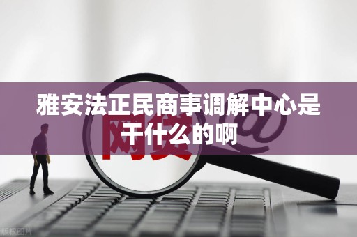 雅安法正民商事调解中心是干什么的啊