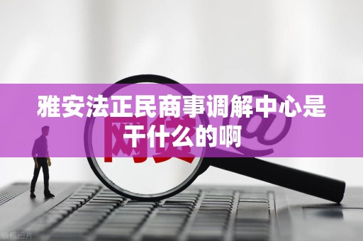 雅安法正民商事调解中心是干什么的啊
