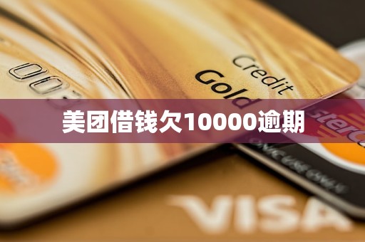 美团借钱欠10000逾期