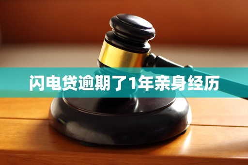 闪电贷逾期了1年亲身经历
