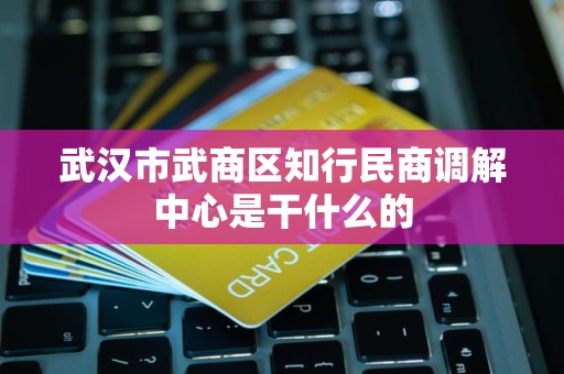 武汉市武商区知行民商调解中心是干什么的