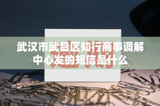 武汉市武昌区知行商事调解中心发的短信是什么