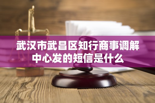 武汉市武昌区知行商事调解中心发的短信是什么