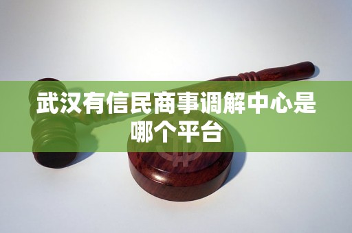 武汉有信民商事调解中心是哪个平台