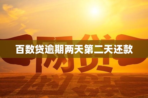 百数贷逾期两天第二天还款