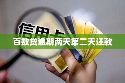 百数贷逾期两天第二天还款