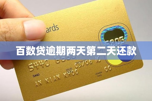 百数贷逾期两天第二天还款