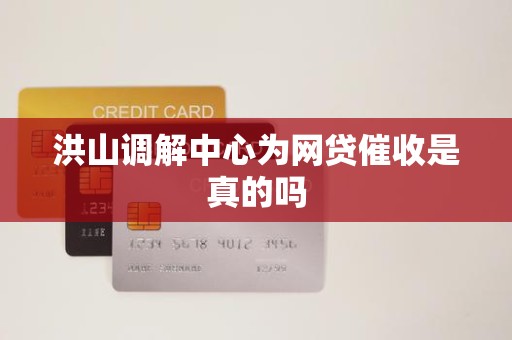 洪山调解中心为网贷催收是真的吗