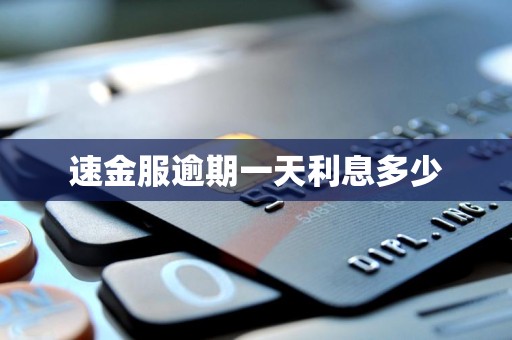 速金服逾期一天利息多少