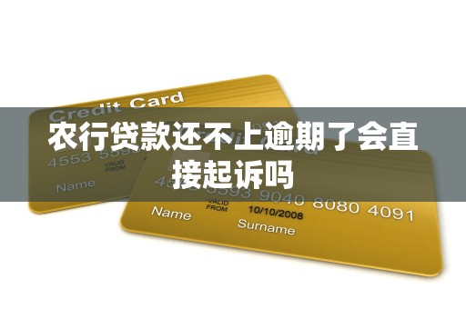 农行贷款还不上逾期了会直接起诉吗