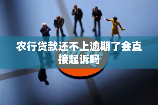 农行贷款还不上逾期了会直接起诉吗