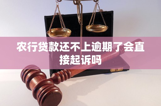 农行贷款还不上逾期了会直接起诉吗