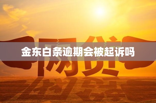 金东白条逾期会被起诉吗