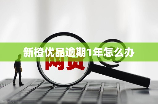 新橙优品逾期1年怎么办