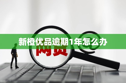 新橙优品逾期1年怎么办