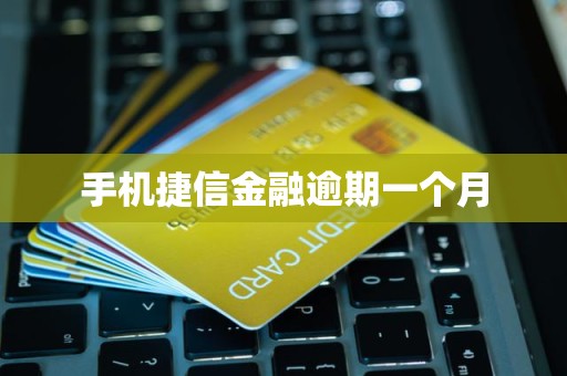 手机捷信金融逾期一个月