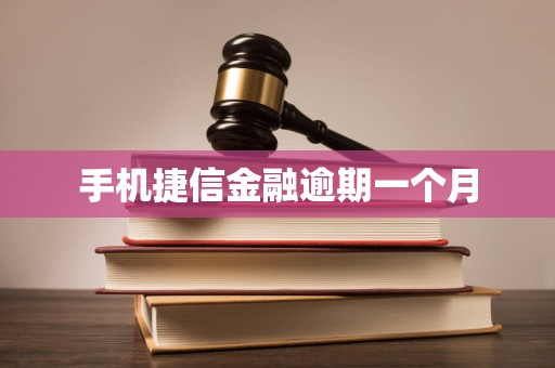 手机捷信金融逾期一个月