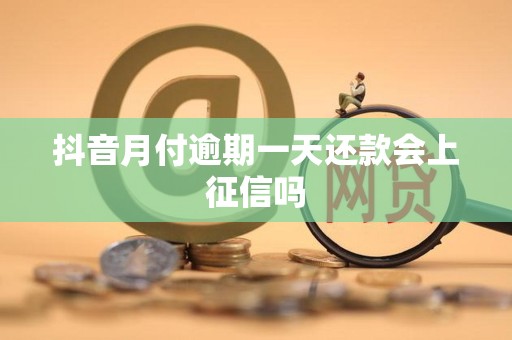 抖音月付逾期一天还款会上征信吗