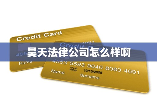 昊天法律公司怎么样啊