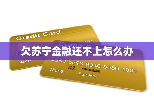 欠苏宁金融还不上怎么办