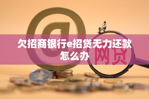 欠招商银行e招贷无力还款怎么办