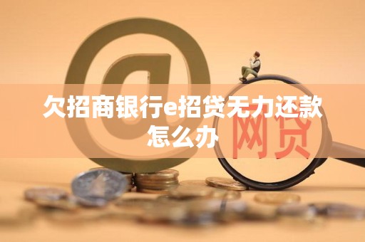 欠招商银行e招贷无力还款怎么办