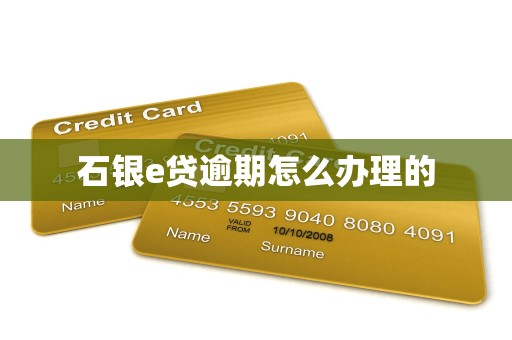 石银e贷逾期怎么办理的