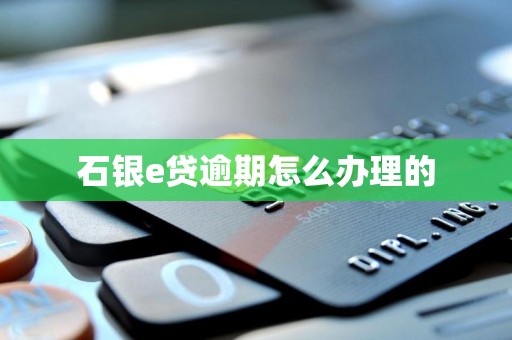 石银e贷逾期怎么办理的