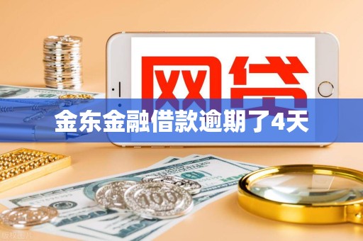 金东金融借款逾期了4天