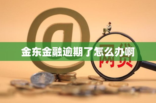 金东金融逾期了怎么办啊