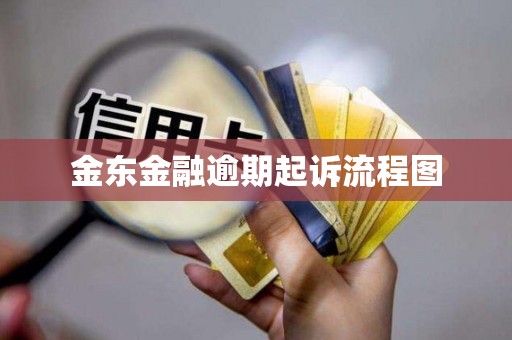 金东金融逾期起诉流程图