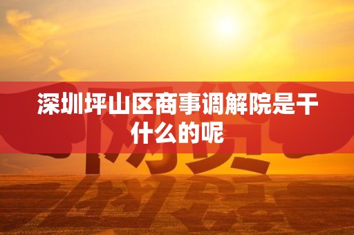 深圳坪山区商事调解院是干什么的呢