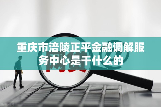 重庆市涪陵正平金融调解服务中心是干什么的