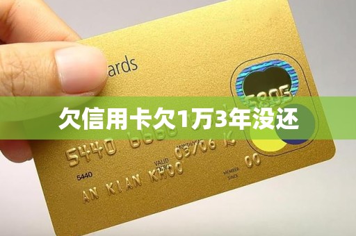 欠信用卡欠1万3年没还