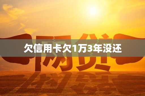 欠信用卡欠1万3年没还