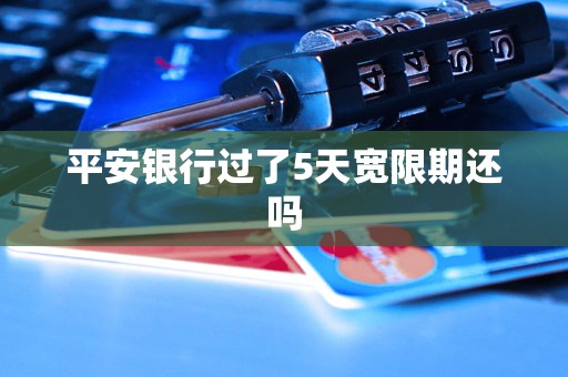平安银行过了5天宽限期还吗