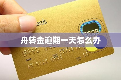 舟转金逾期一天怎么办