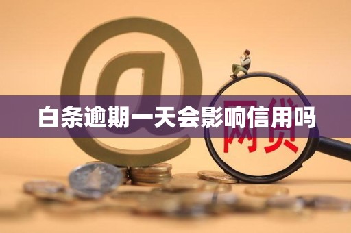 白条逾期一天会影响信用吗