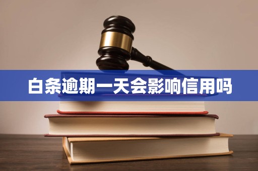 白条逾期一天会影响信用吗