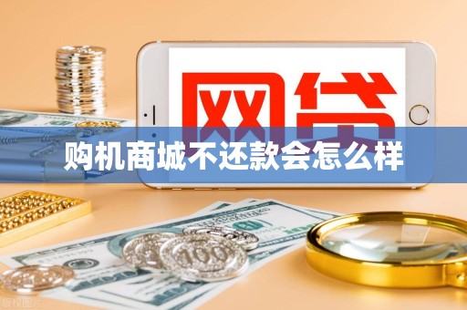 购机商城不还款会怎么样