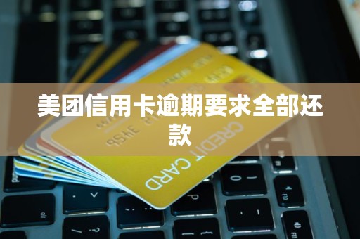 美团信用卡逾期要求全部还款