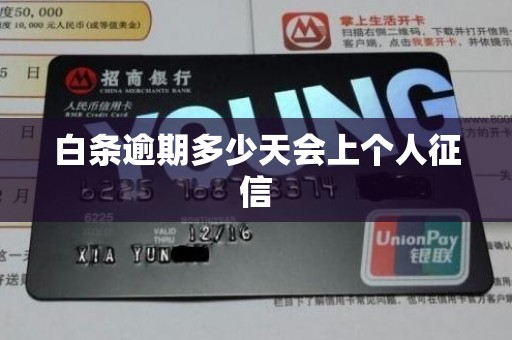 白条逾期多少天会上个人征信